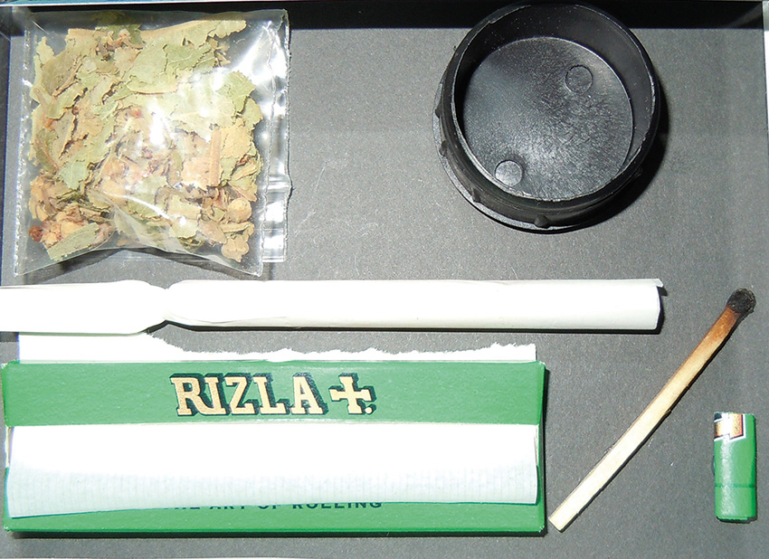 cannabis
