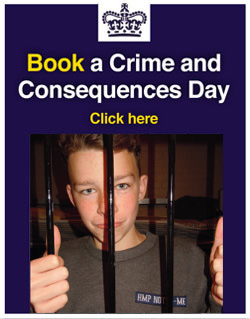 Book a Crime and Consequences day